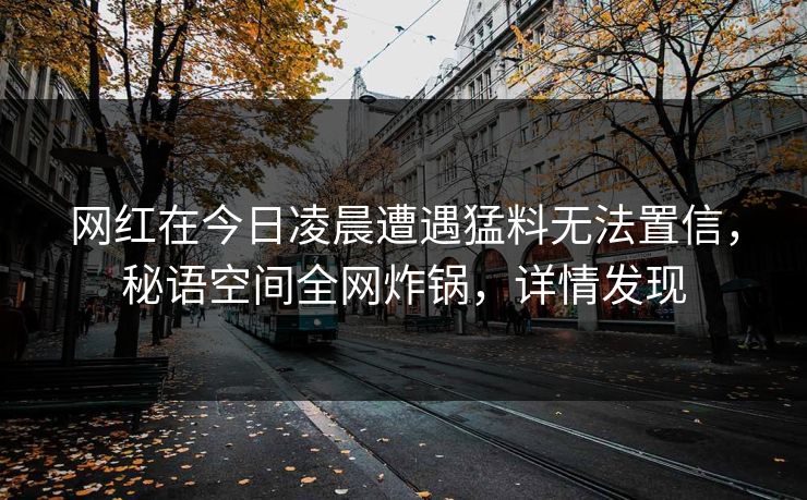 网红在今日凌晨遭遇猛料无法置信，秘语空间全网炸锅，详情发现