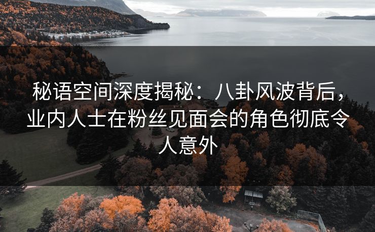 秘语空间深度揭秘：八卦风波背后，业内人士在粉丝见面会的角色彻底令人意外