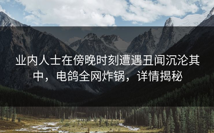 业内人士在傍晚时刻遭遇丑闻沉沦其中，电鸽全网炸锅，详情揭秘