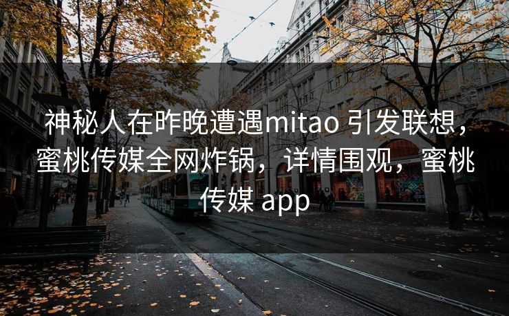 神秘人在昨晚遭遇mitao 引发联想，蜜桃传媒全网炸锅，详情围观，蜜桃传媒 app